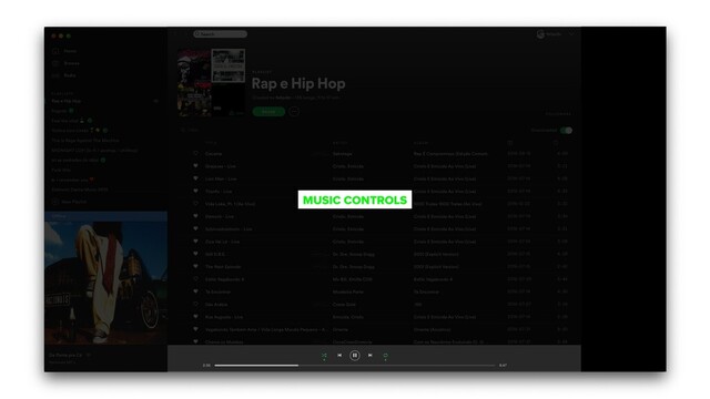 MUSIC CONTROLS
MUSIC CONTROLS
