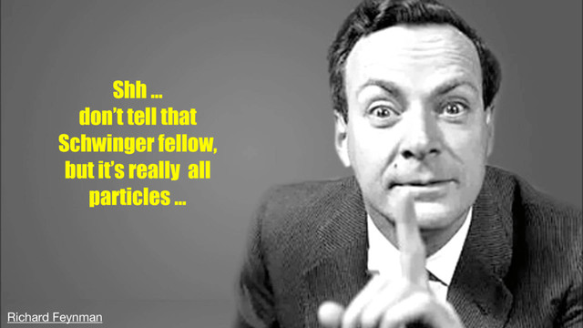 Shh …
don’t tell that
Schwinger fellow,
but it’s really all
particles …
Richard Feynman
