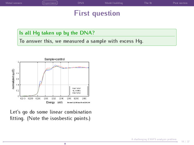 Metal sensors Experiment DNA Model building The ﬁt Post mortem
First question
Is all Hg taken up by the DNA?
To answer this, we measured a sample with excess Hg.
Let’s go do some linear combination
ﬁtting. (Note the isosbestic points.)
14 / 37
A challenging EXAFS analysis problem
