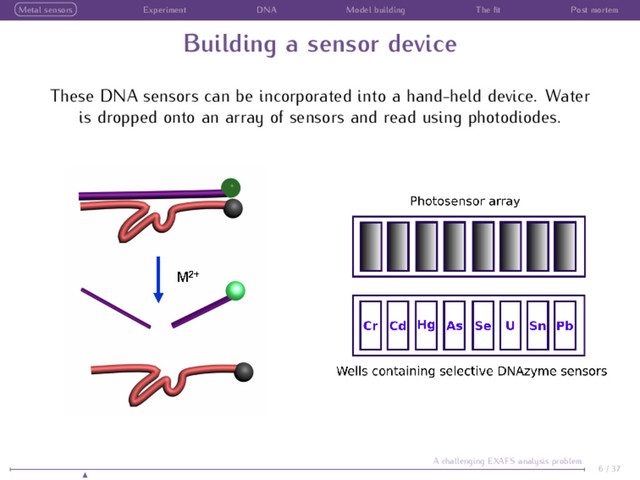Metal sensors Experiment DNA Model building The ﬁt Post mortem
Building a sensor device
These DNA sensors can be incorporated into a hand-held device. Water
is dropped onto an array of sensors and read using photodiodes.
6 / 37
A challenging EXAFS analysis problem
