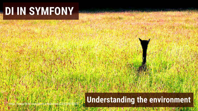 DI IN SYMFONY
Understanding the environment
https://www.flickr.com/photos/leshaines123/9258192037
