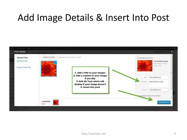 Add Image Details & Insert Into Post
4
http://wpslides.net
