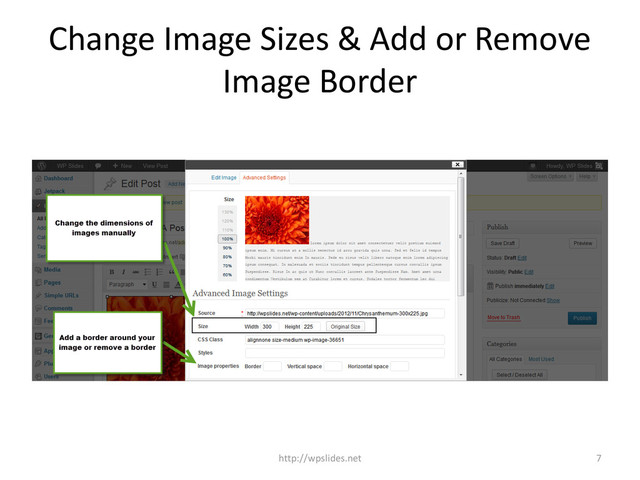 Change Image Sizes & Add or Remove
Image Border
http://wpslides.net 7
