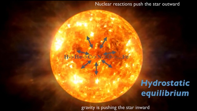 @fedhere
gravity is pushing the star inward
Nuclear reactions push the star outward
H->He->C->N->O->…Fe
Hydrostatic
equilibrium
