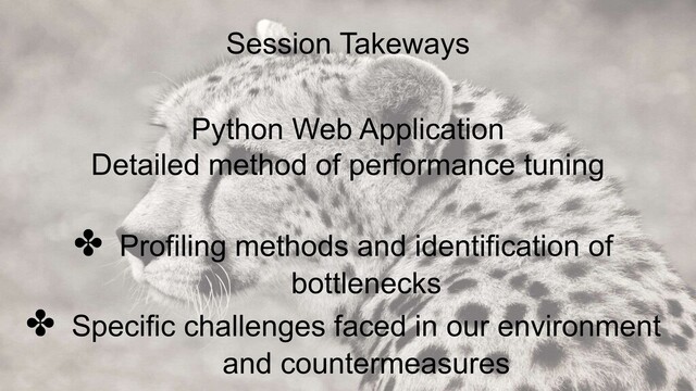 Session Takeways
✤ Profiling methods and identification of
bottlenecks
✤ Specific challenges faced in our environment
and countermeasures
Python Web Application
Detailed method of performance tuning
