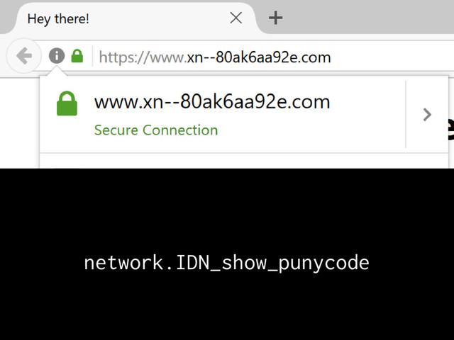 network.IDN_show_punycode
