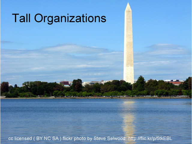 Tall Organizations
cc licensed ( BY NC SA ) flickr photo by Steve Selwood: http://flic.kr/p/5tkEBL

