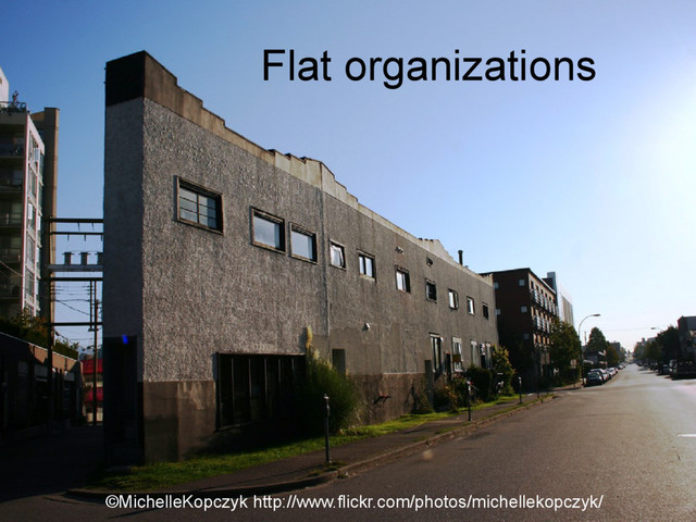 Flat organizations
©MichelleKopczyk http://www.flickr.com/photos/michellekopczyk/
