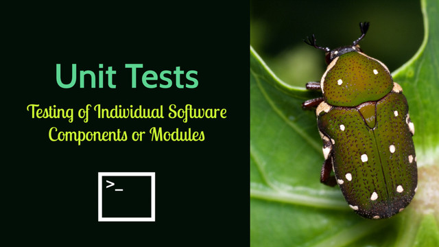 Unit Tests
Testing of Individual Software
Components or Modules
