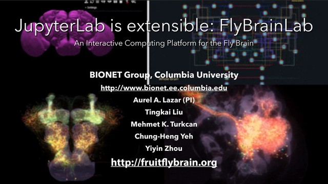 JupyterLab is extensible: FlyBrainLab
An Interactive Computing Platform for the Fly Brain
BIONET Group, Columbia University
http://www.bionet.ee.columbia.edu
Aurel A. Lazar (PI)
Tingkai Liu
Mehmet K. Turkcan
Chung-Heng Yeh
Yiyin Zhou
http://fruitflybrain.org
